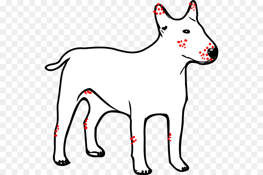 Dogo Argentino，Great Dane PNG