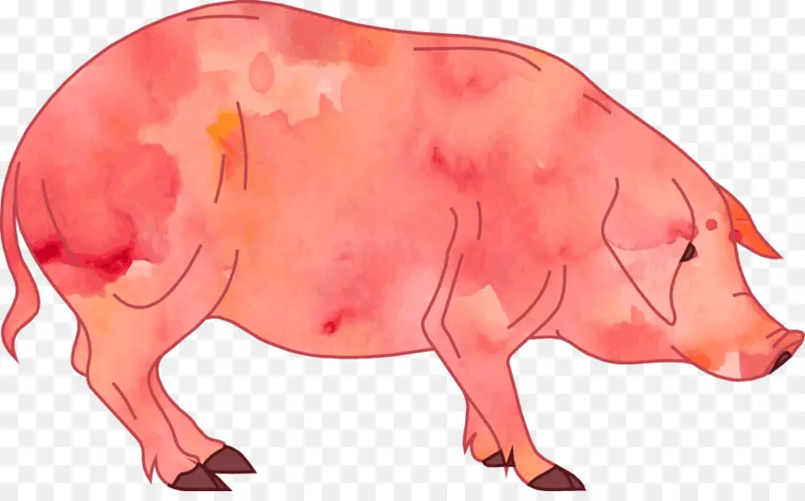 Babi，Peternakan PNG