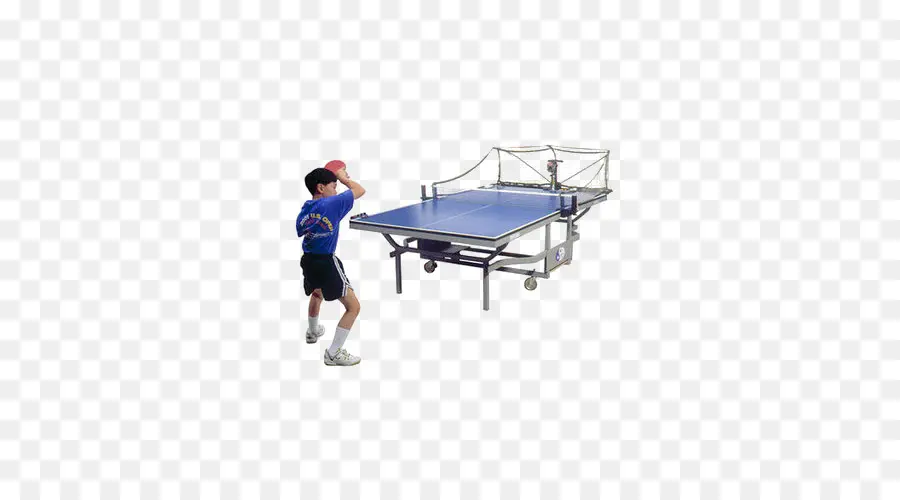 Tenis Meja，Ping Pong PNG