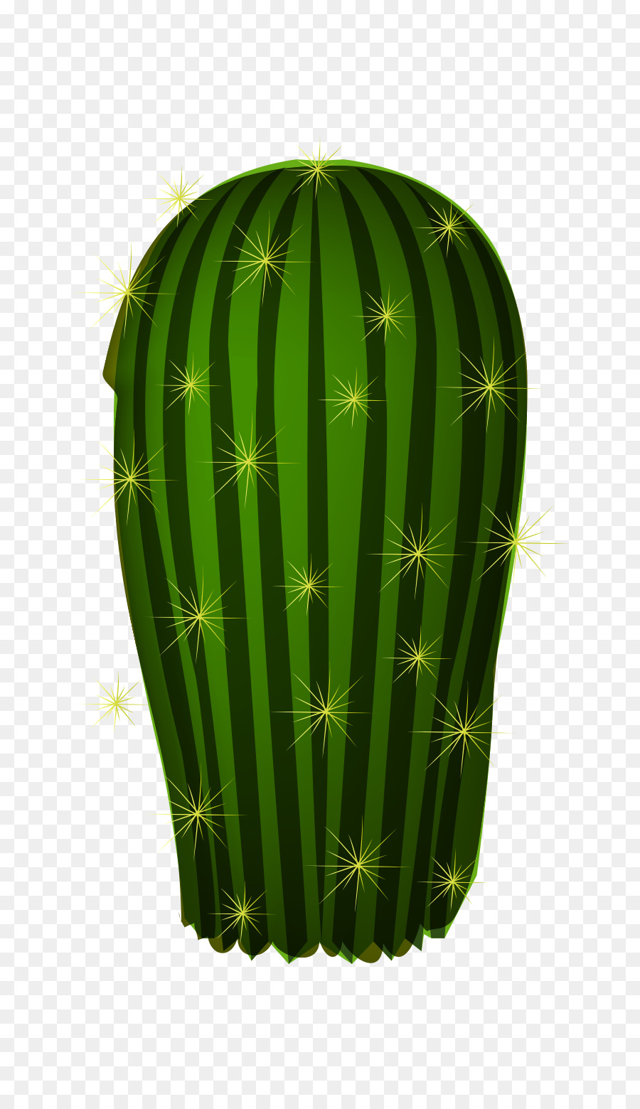 Cactaceae，Adobe Ilustrator PNG