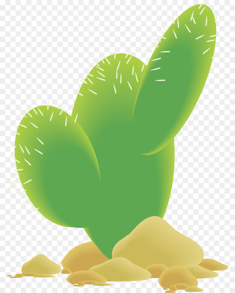 Cactaceae，Men Download PNG