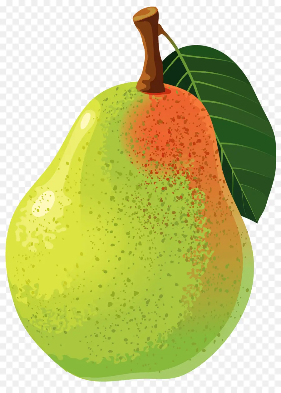 Pyrus Bretschneideri Xd7，Buah PNG