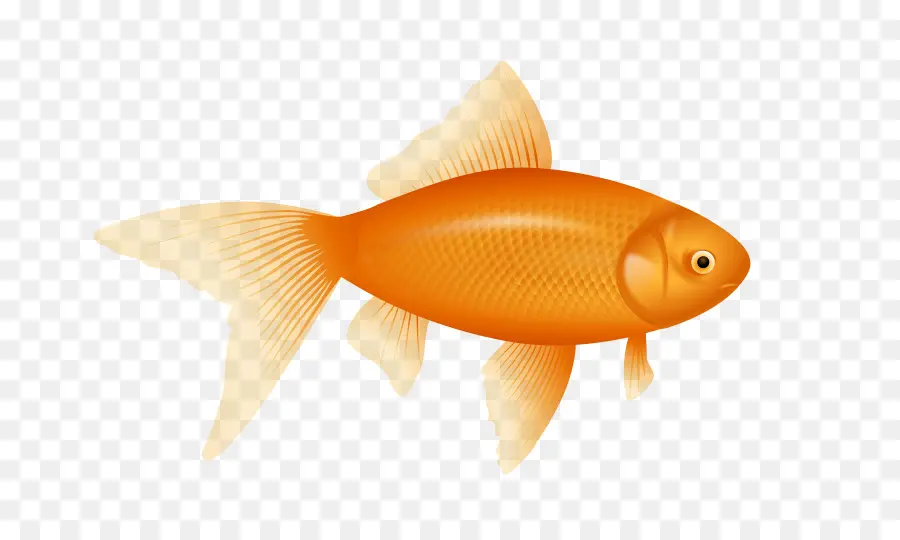Satu Ikan Dua Ikan Merah Ikan Ikan Biru，Ikan PNG
