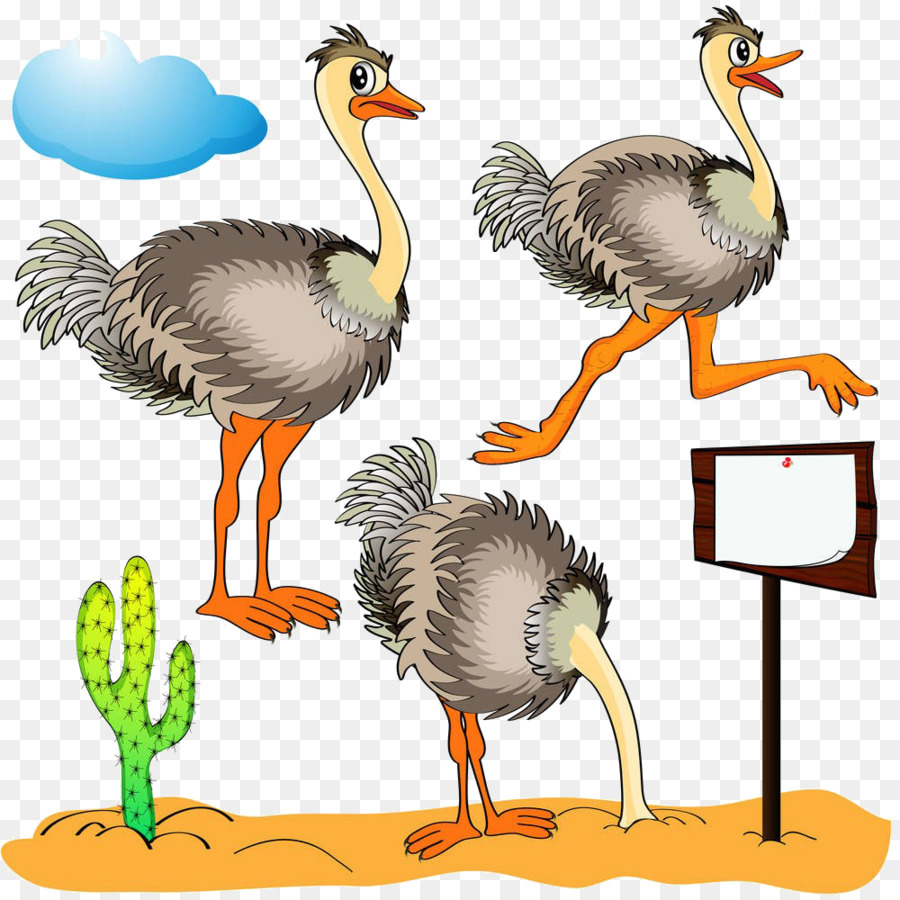 Umum Burung Unta，Royaltyfree PNG