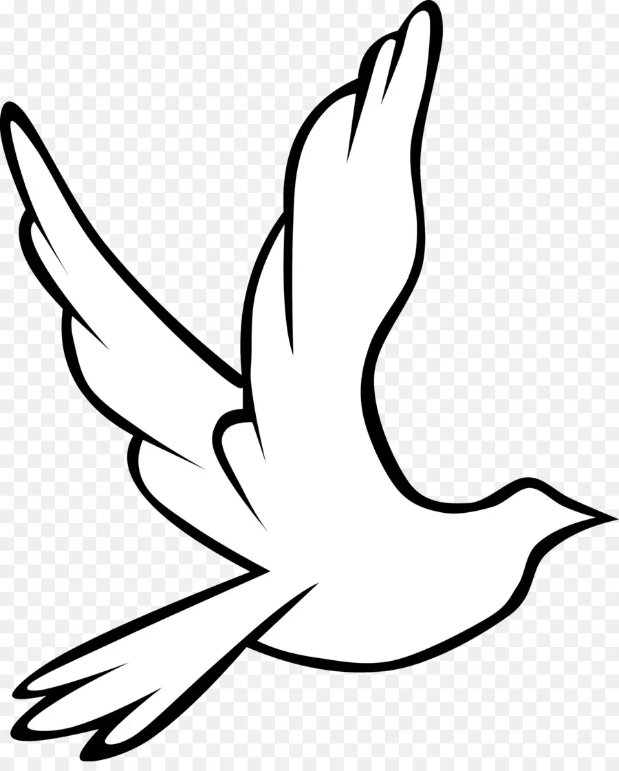 Roh Kudus，Merpati Sebagai Simbol PNG