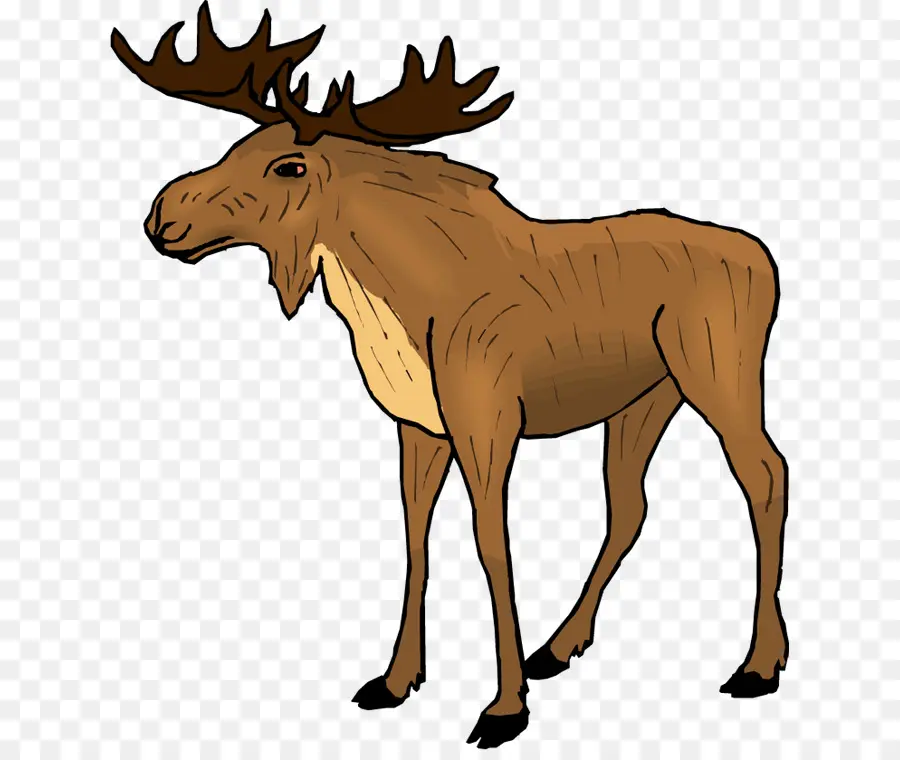 Rusa，Elk PNG