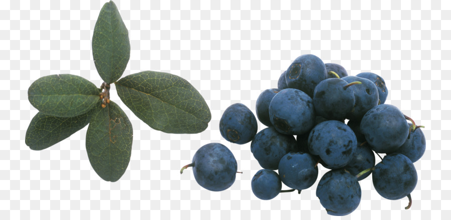 Blueberry，Beri PNG