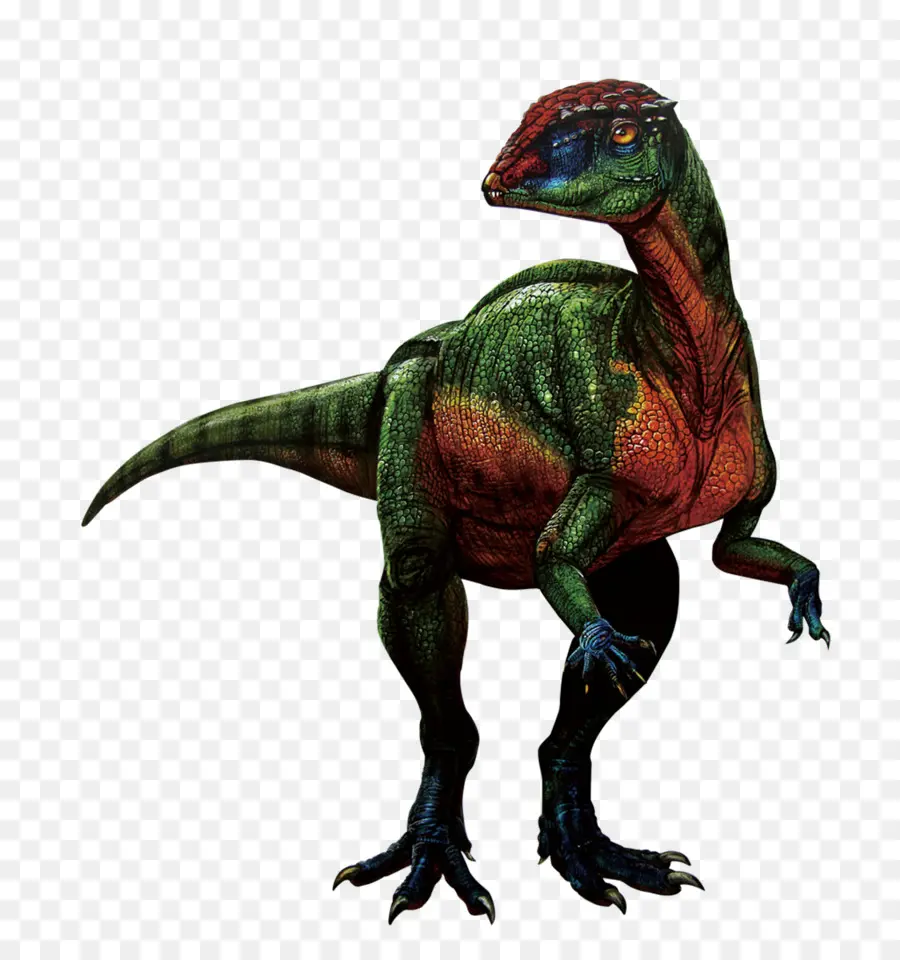 Dinosaurus，Prasejarah PNG