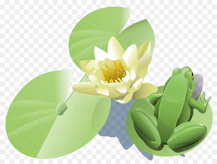 Katak，Lily Pad PNG