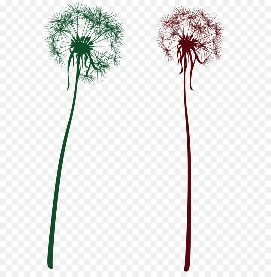 Siluet Dandelion，Bunga PNG