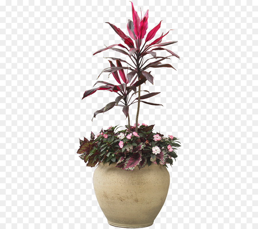 Houseplant Pabrik Pot Bunga  gambar png
