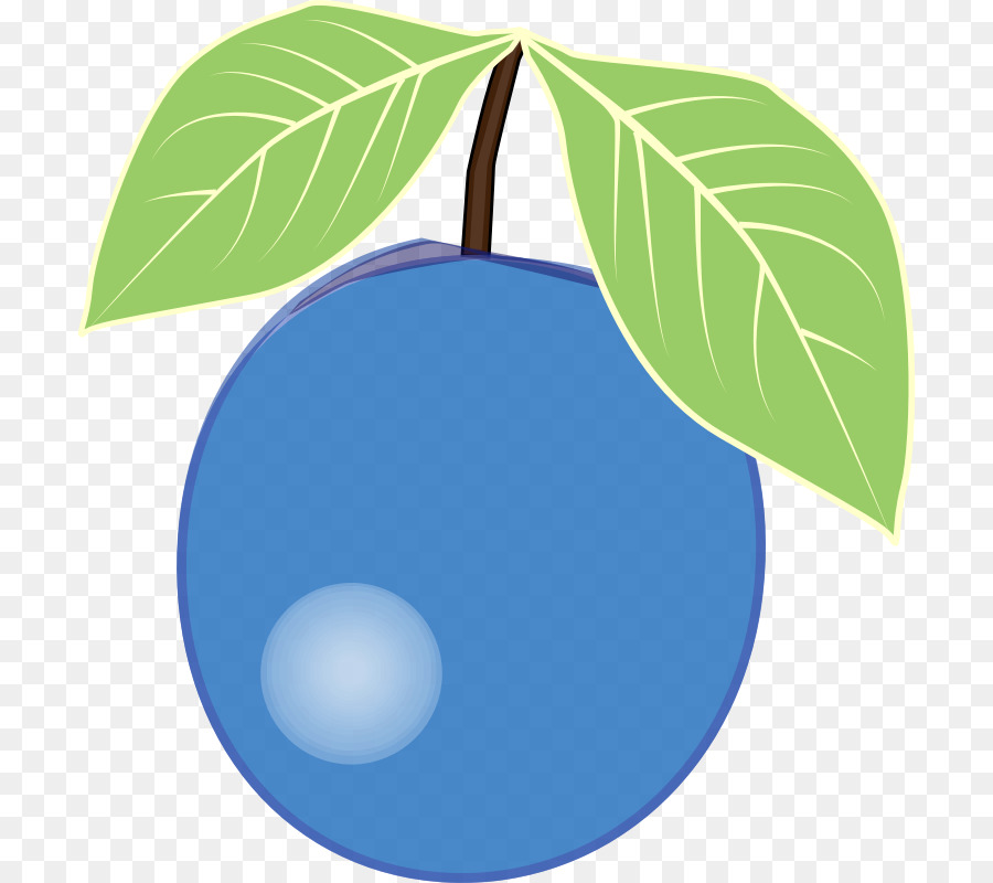 Plum Biru，Daun PNG