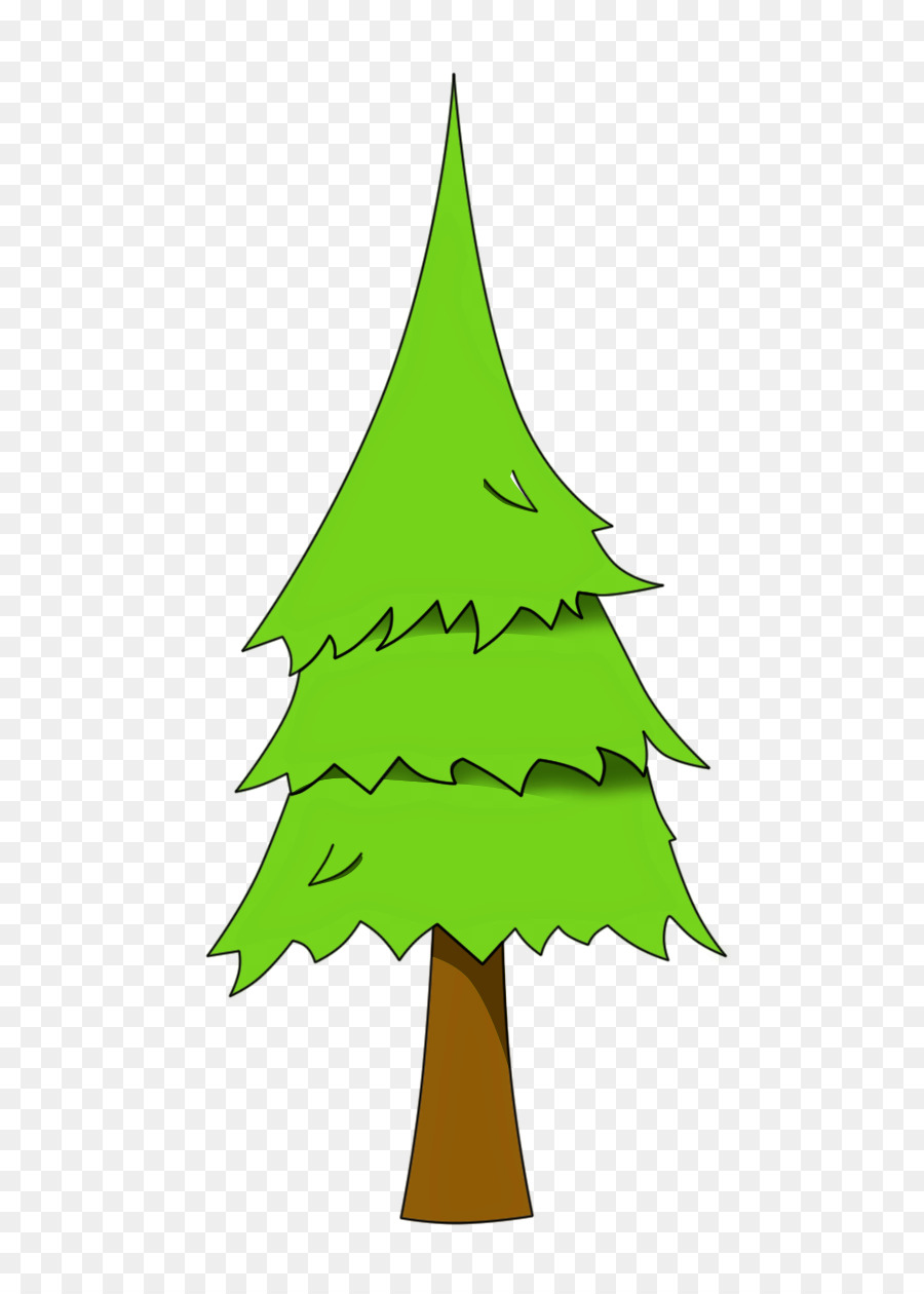 Pinus Palustris，Pohon PNG
