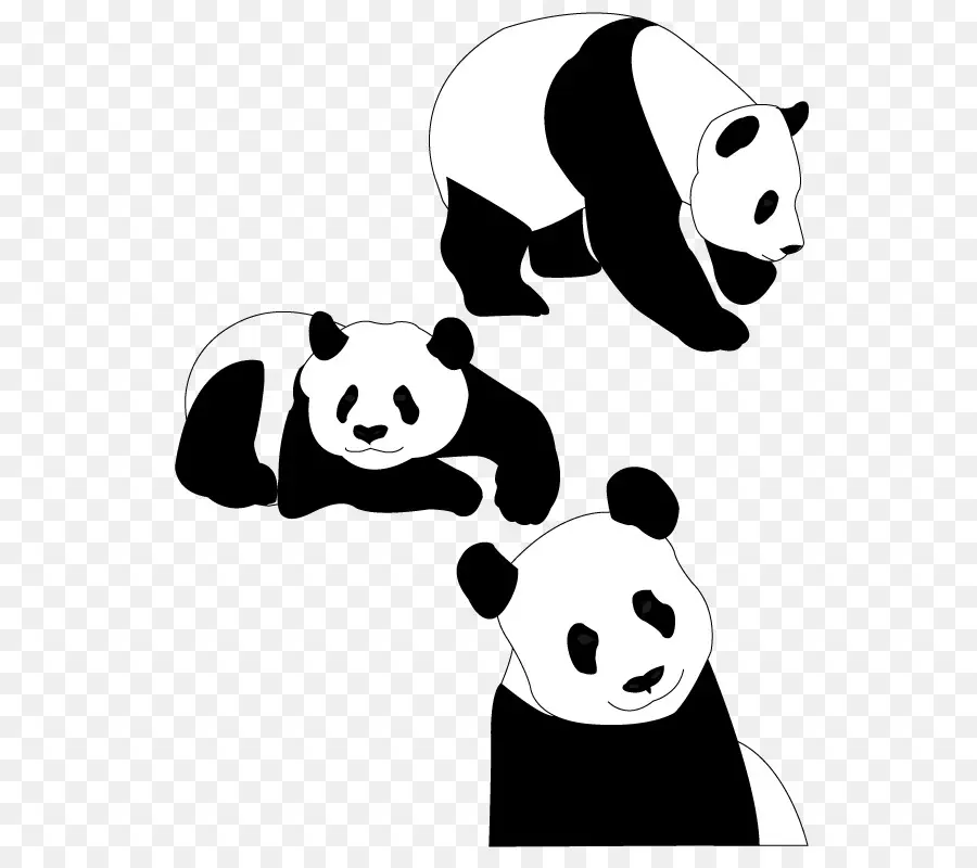 Panda，Hitam PNG