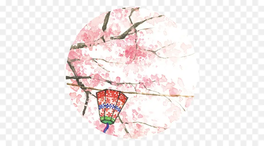 Bunga Sakura，Bunga PNG