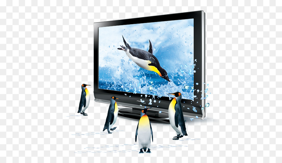 Penguin，Televisi PNG