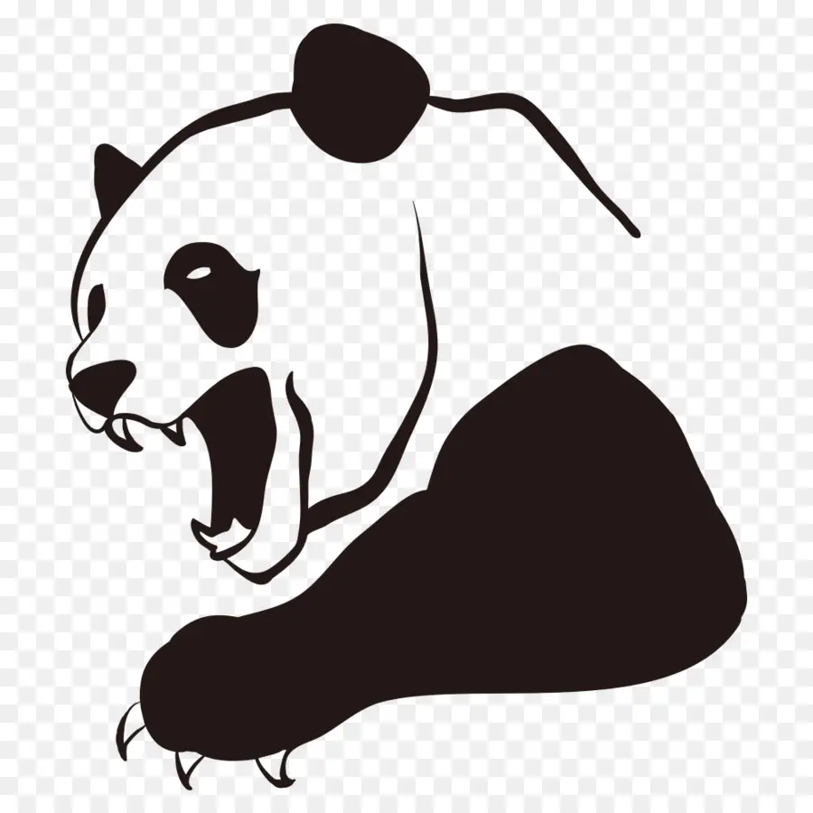 Panda，Beruang PNG