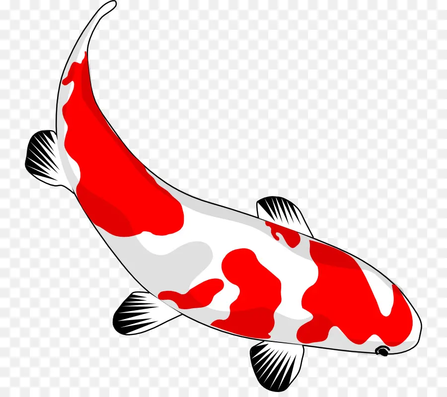 Koi，Ikan Mas PNG