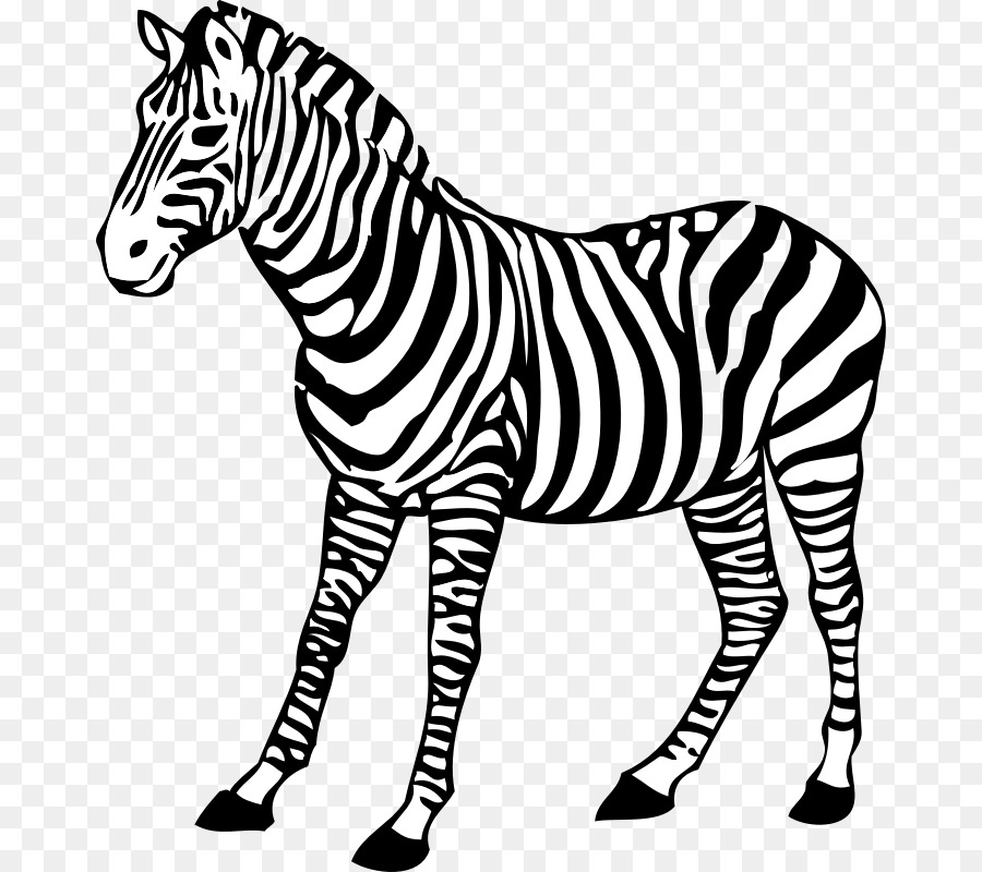 Zebra，Garis Garis PNG