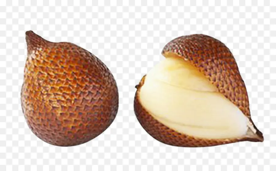 Buah Salak，Buah Ular PNG