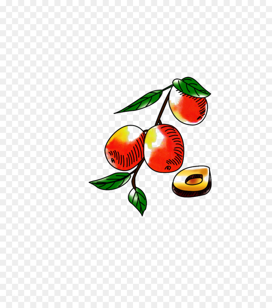 Jujube，Buah PNG