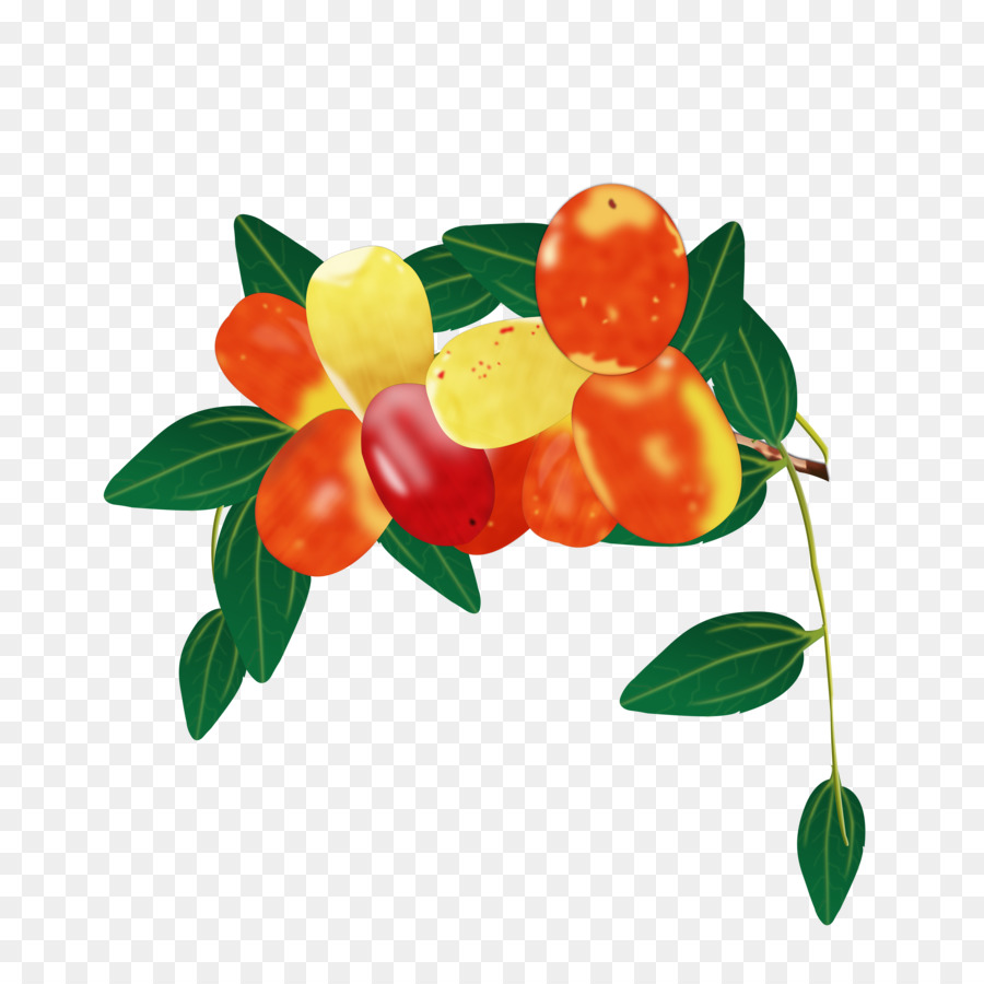  Buah  Kurma Jujube gambar  png