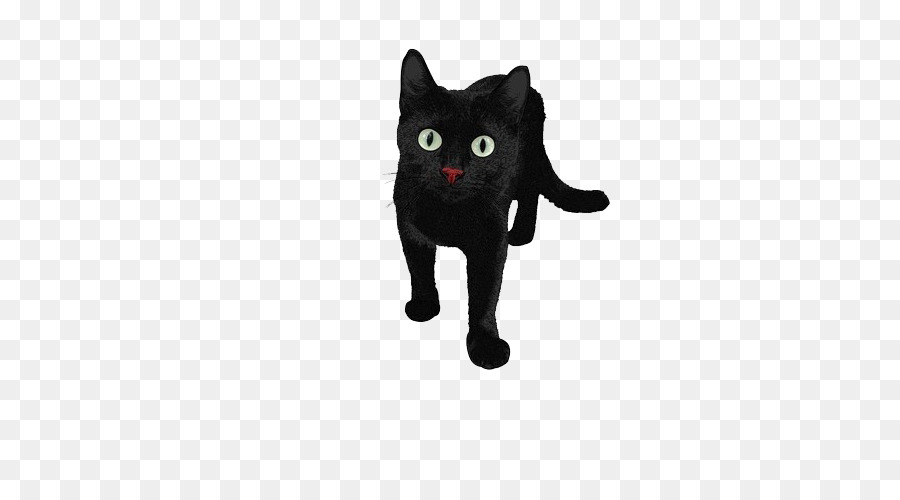 Kucing Hitam，Mengintip PNG