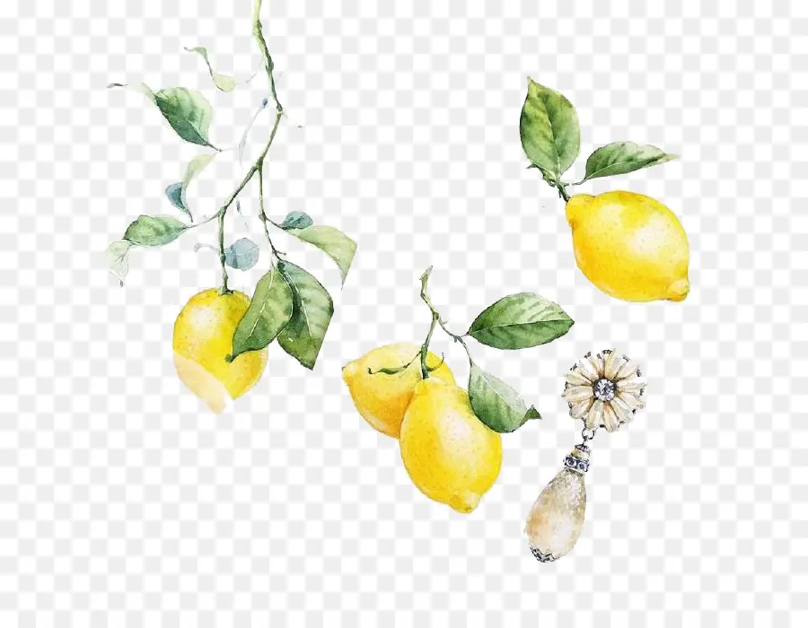 Seni Visual，Lemon PNG