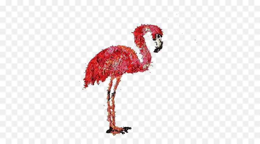 Flamingo，Berwarna Merah Muda PNG