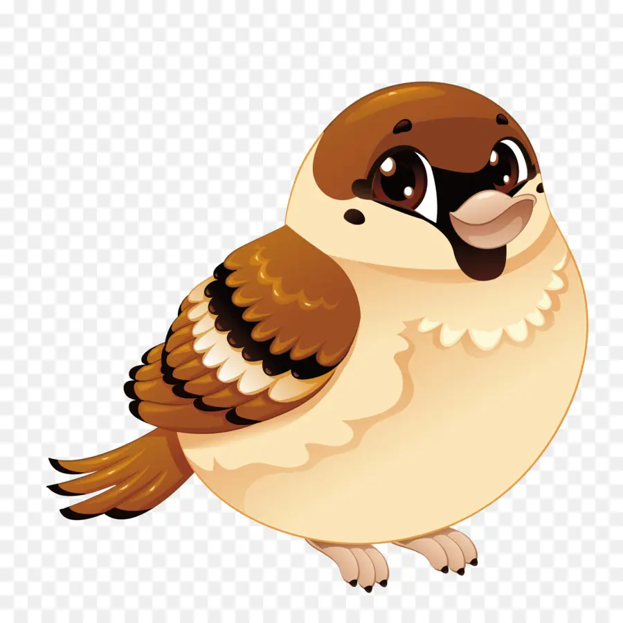 Sparrow，House Sparrow PNG