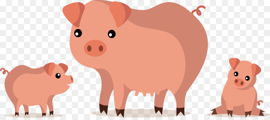 Babi，Peternakan PNG