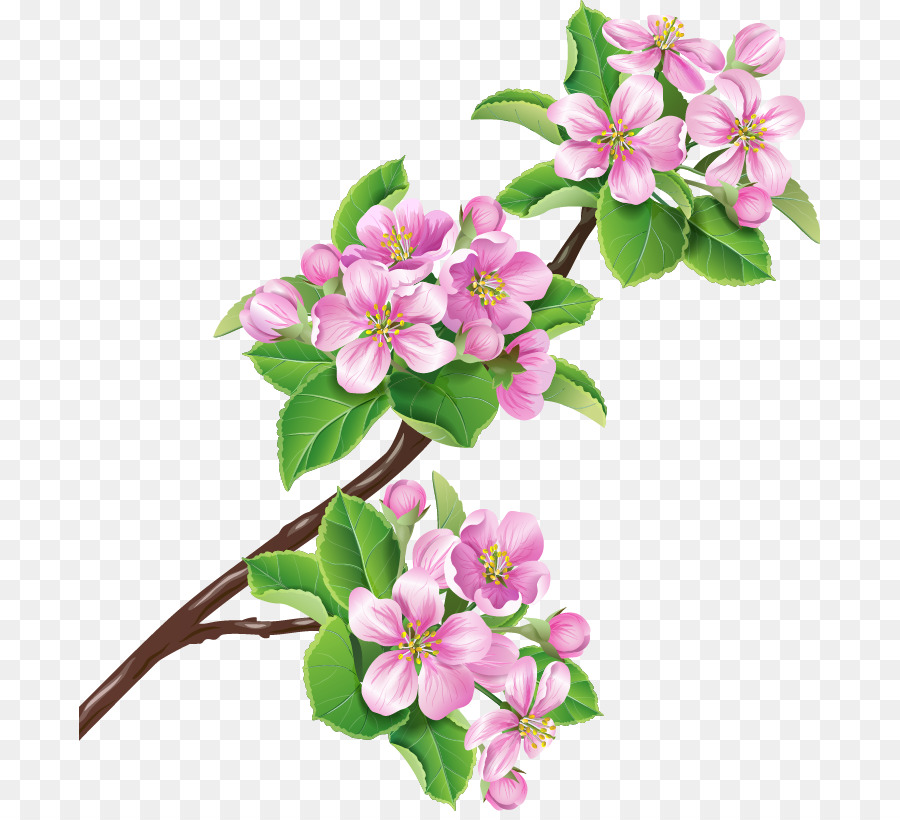 Bunga Cabang Blossom Gambar Png