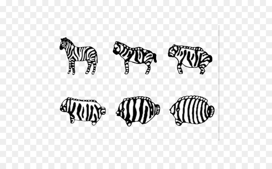 Zebra，Desain Grafis PNG