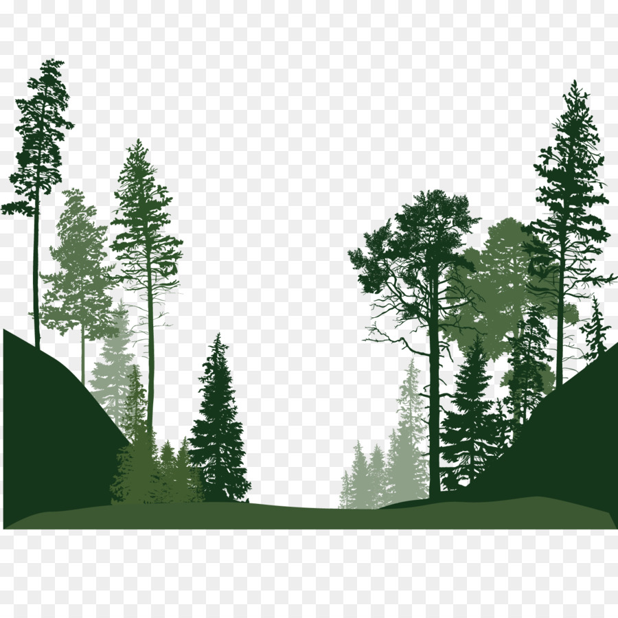 Vektor Hutan Pinus