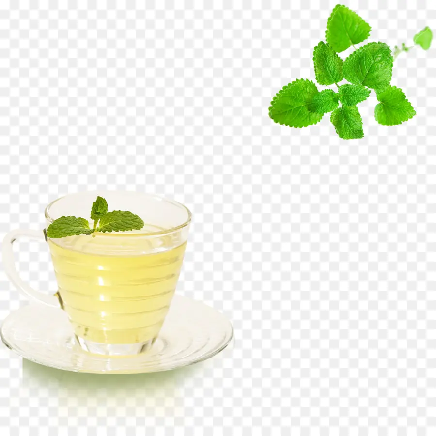 Teh Mint，Cangkir PNG