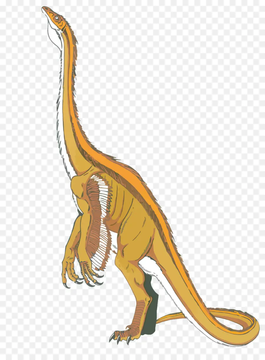 Dinosaurus，Prasejarah PNG