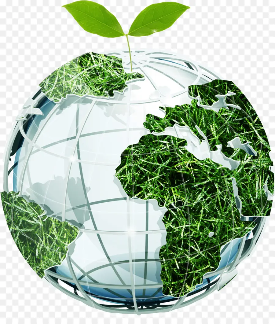 Bumi，Perlindungan Lingkungan PNG