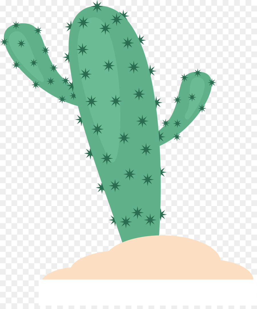 Cactaceae