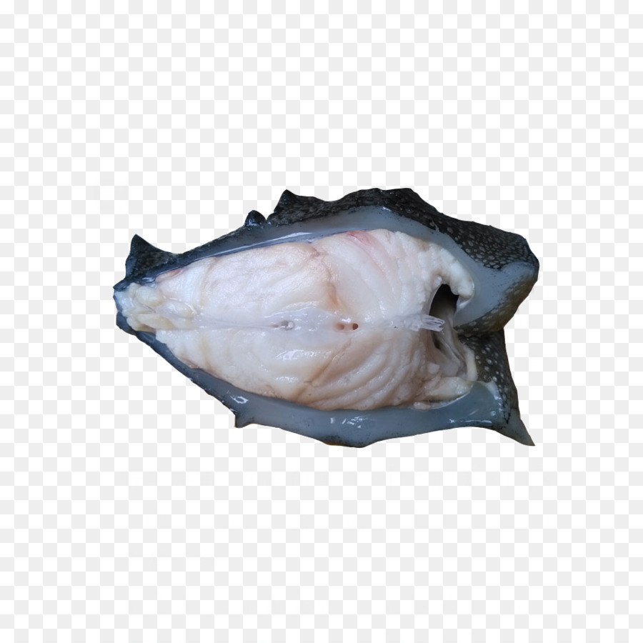 Teripang Sebagai Makanan，Ikan Kerapu PNG