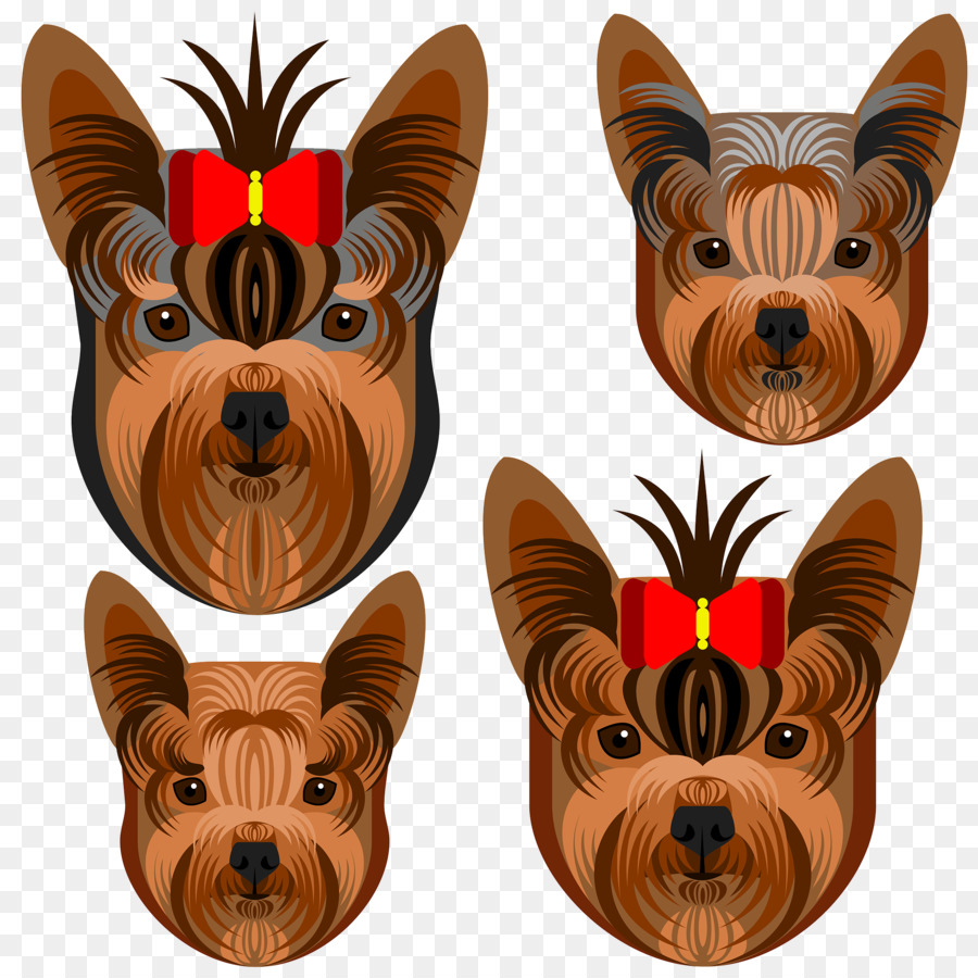 Yorkshire Terrier，Terrier Australia PNG