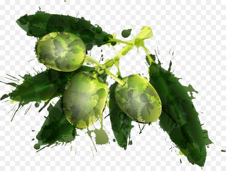 Anggur，Zaitun PNG