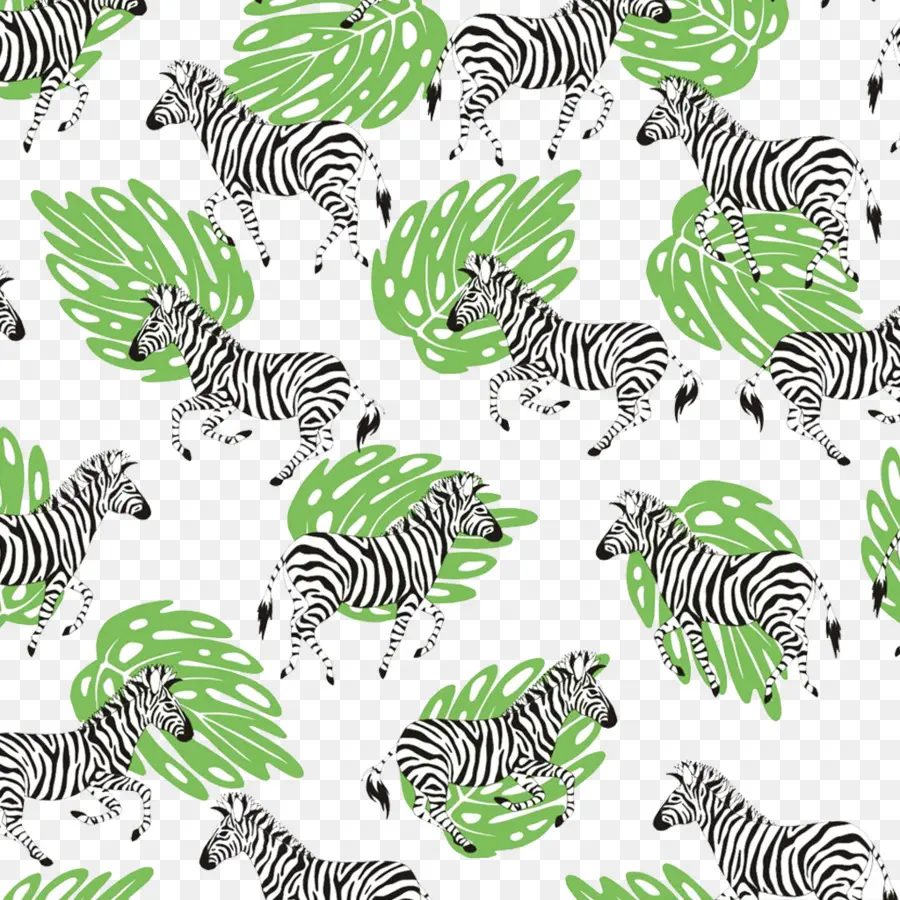 Pola Zebra，Hewan PNG