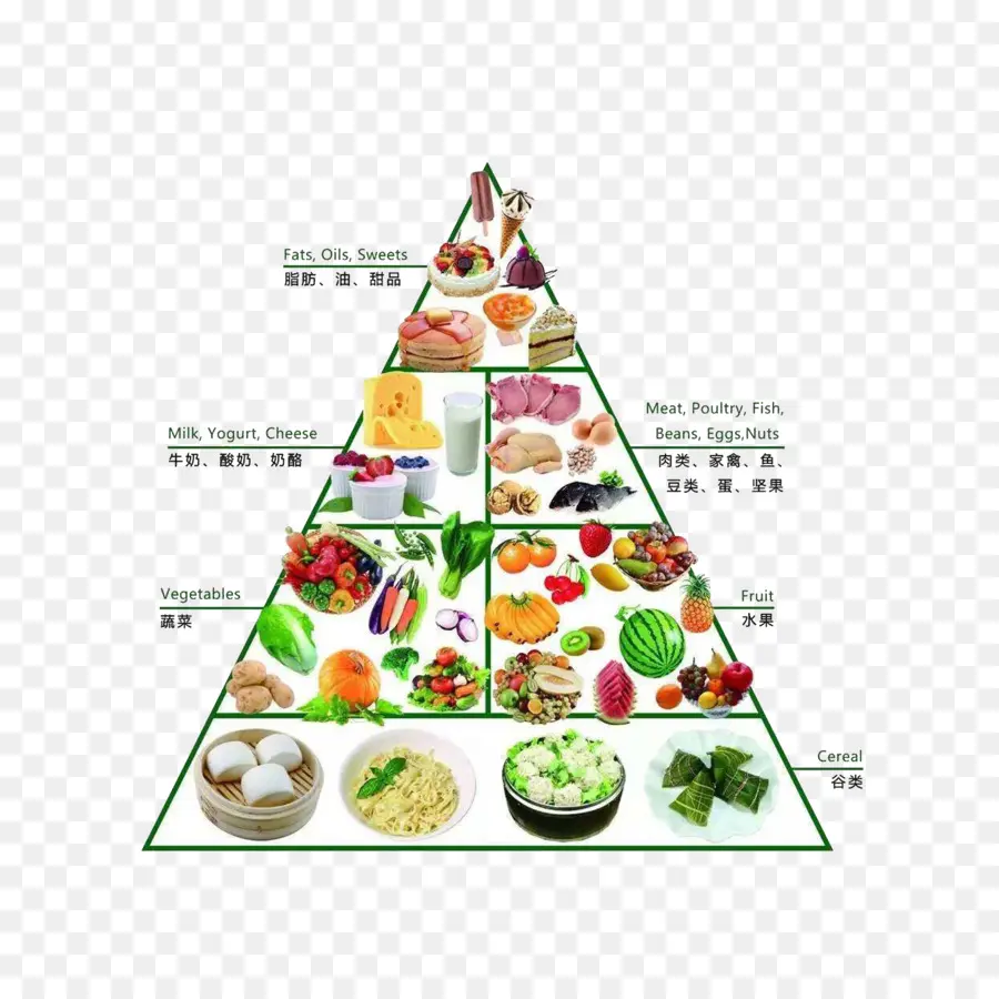 Suplemen Makanan，Piramida Makanan PNG