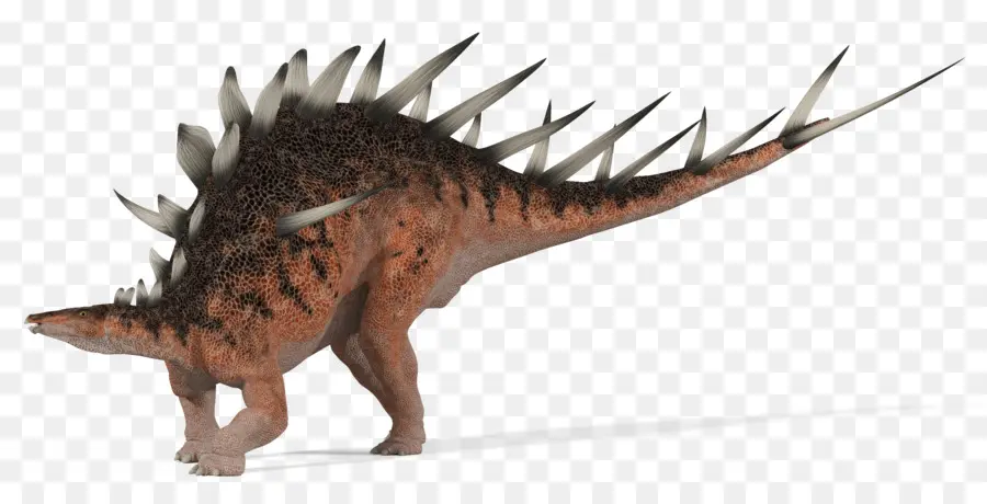 Kentrosaurus，Gali Dinosaurus Taipan Kebun Binatang PNG