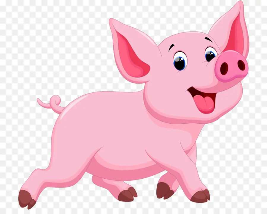 Babi Kartun，Anak Babi PNG