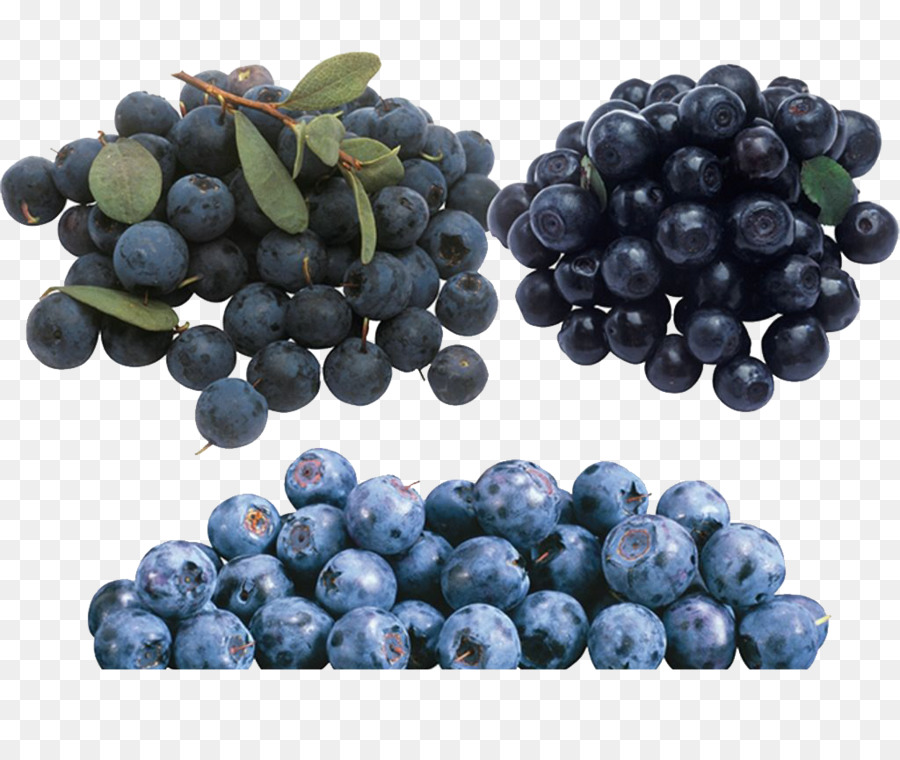 Blueberry，Eropa Blueberry PNG