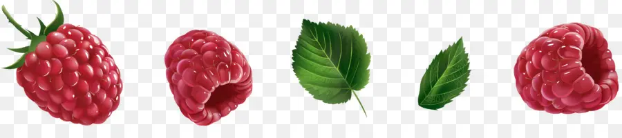 Raspberry Dan Daun，Buah PNG