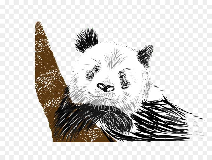 Panda，Beruang PNG