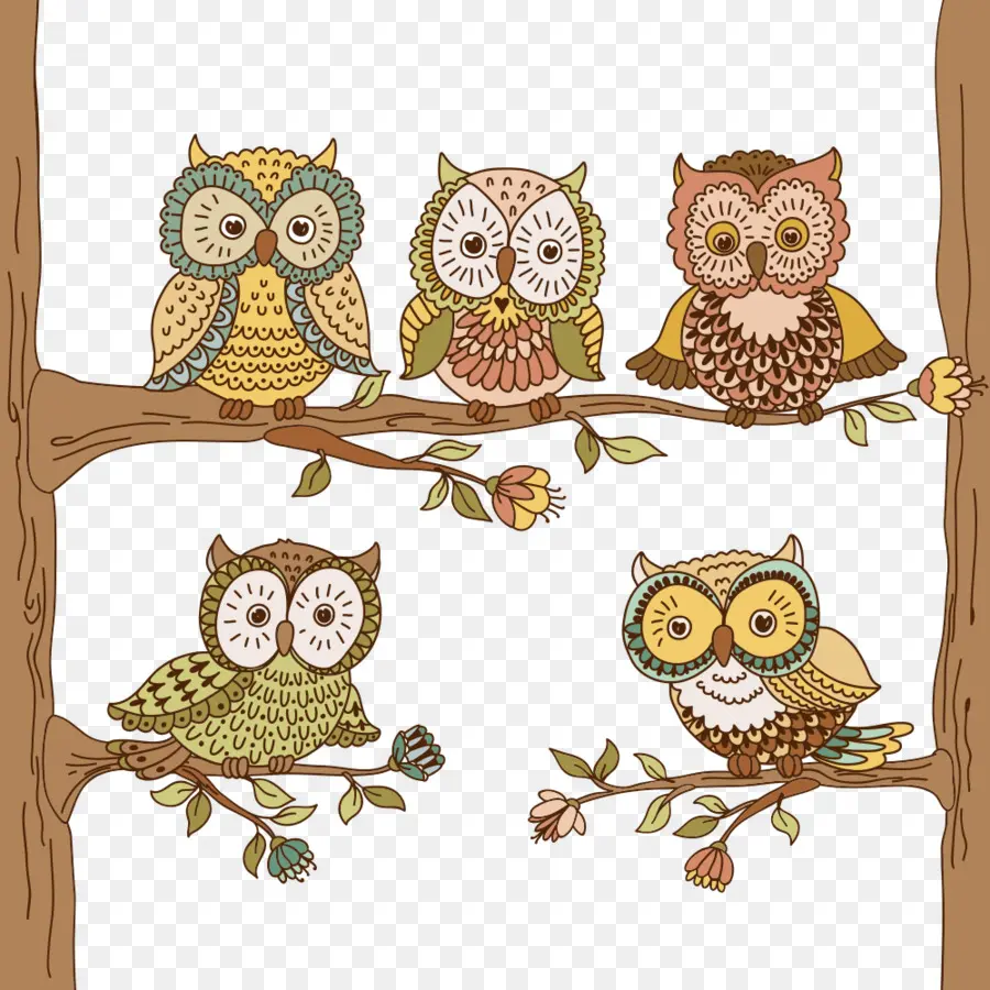 Owl Buku Mewarnai 1，Burung Hantu PNG
