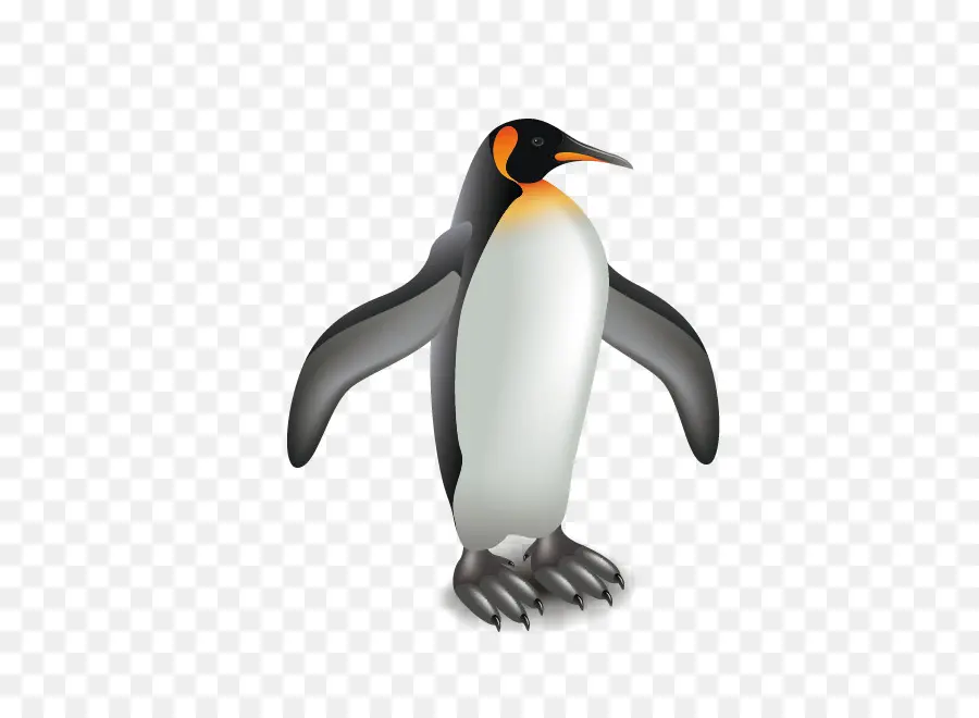 Penguin，Burung PNG